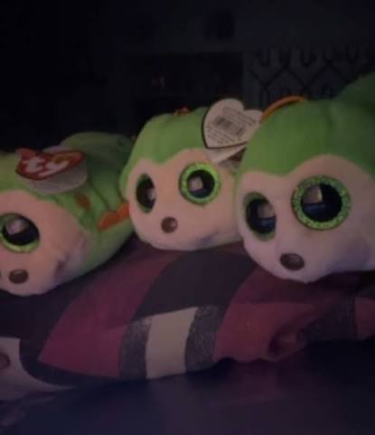 Фотография Гуси